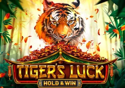 Tiger's Luck - Hold & Win game thumbnail